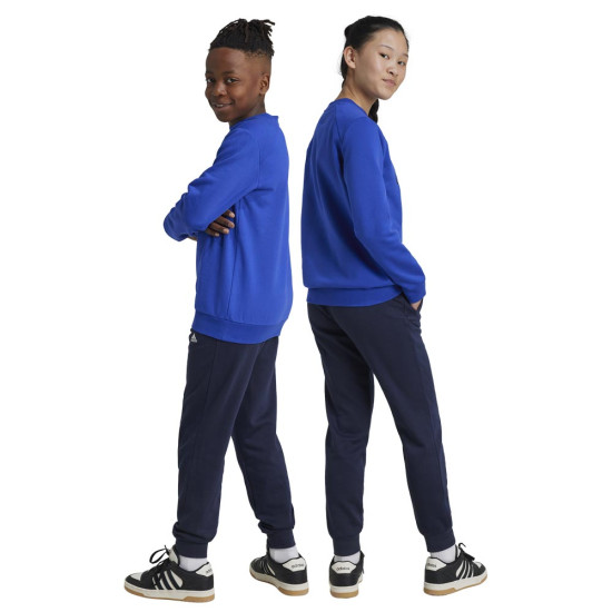 Adidas Παιδικές φόρμες σετ Essentials Big Logo Fleece Jogger